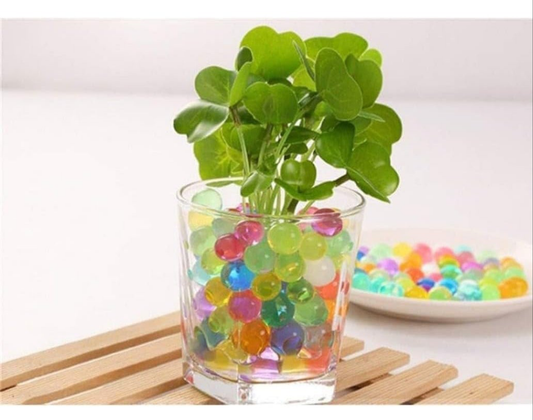 Crystal growing water jelly ball