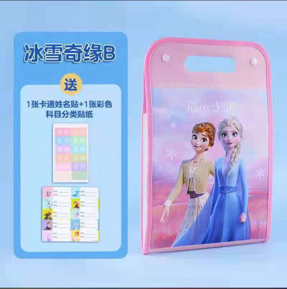 A4 sized file folders