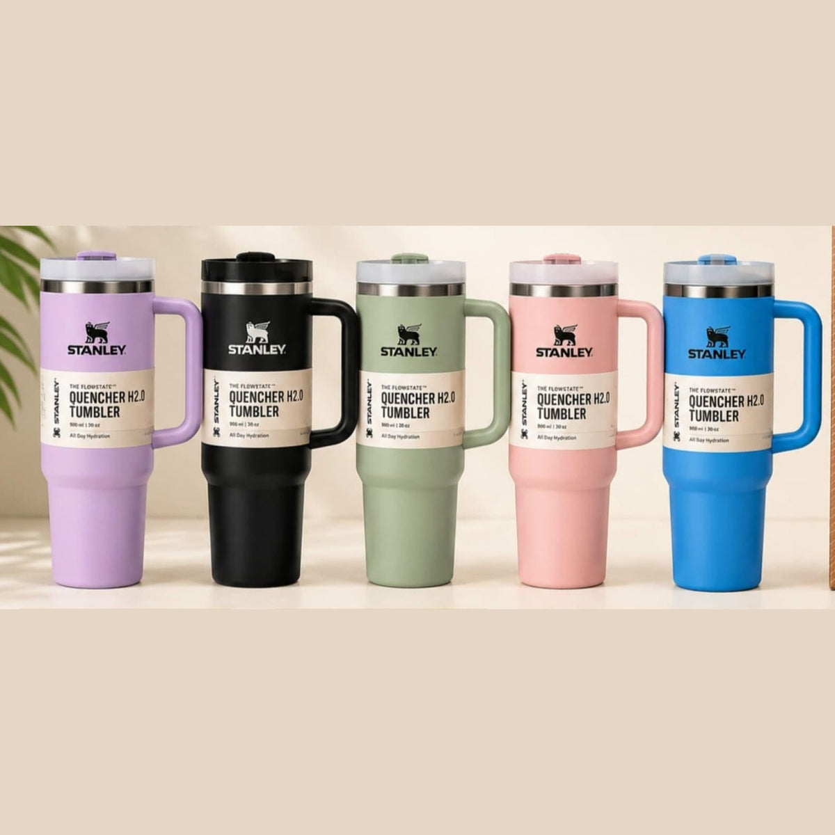 Stanley Tumblers