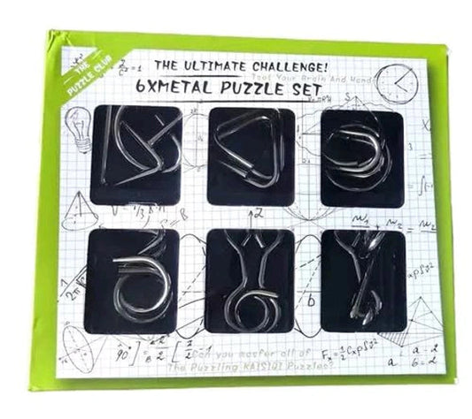 Metal Puzzle (6 pcs)