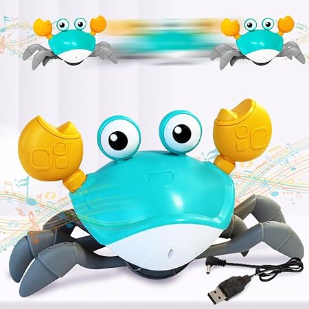 Crawling Crab Toy