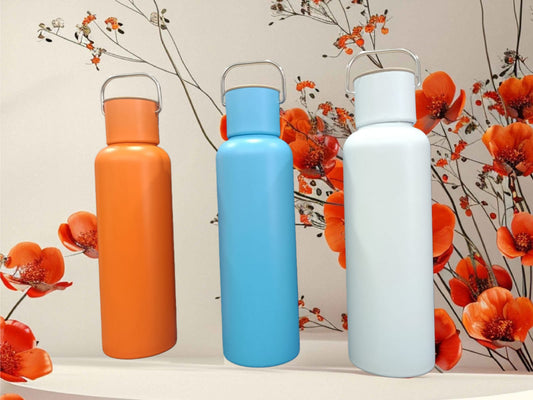Trendy Steel Water Bottles with handle